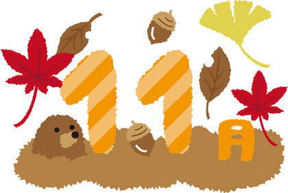 11月会員様限定メニュー